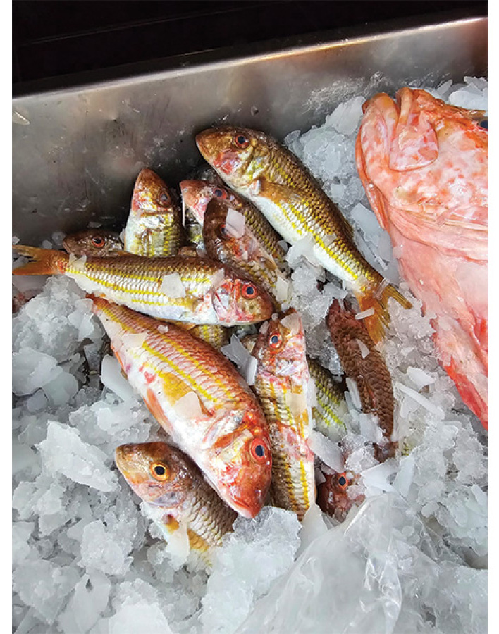 Ε/Γ Ταξιδεύοντας