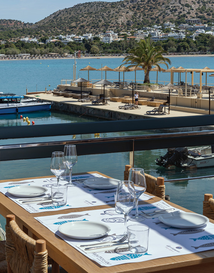 Barbounaki by Papaioannou