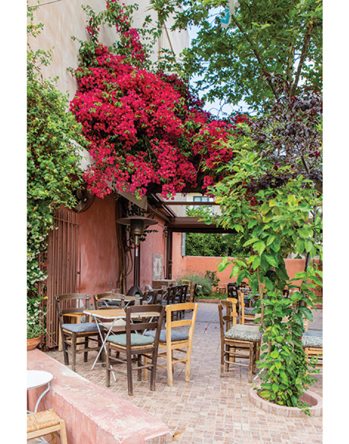 Αυλή: Για νόστιμους μεζέδες και παρεΐστικη διάθεση