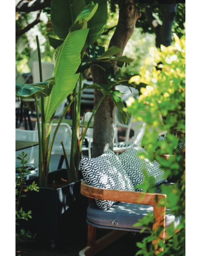 CHALET POLITEIA: Η all day όαση δροσιάς στα βόρεια προάστια