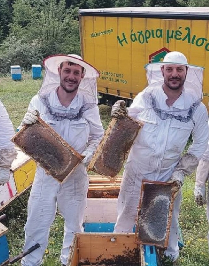 Άγρια Μέλισσα