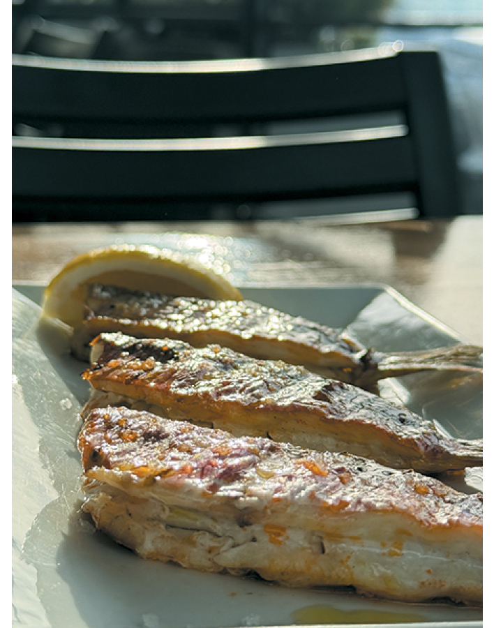 Polpo: Η γαστρονομική ουσία της θάλασσας!