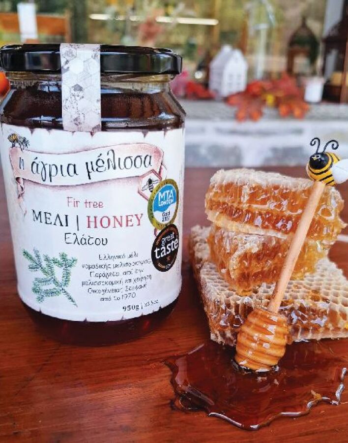 Άγρια Μέλισσα