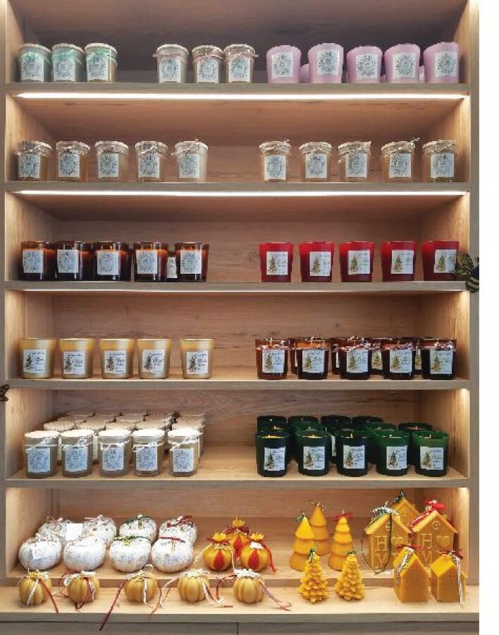 Άγρια Μέλισσα