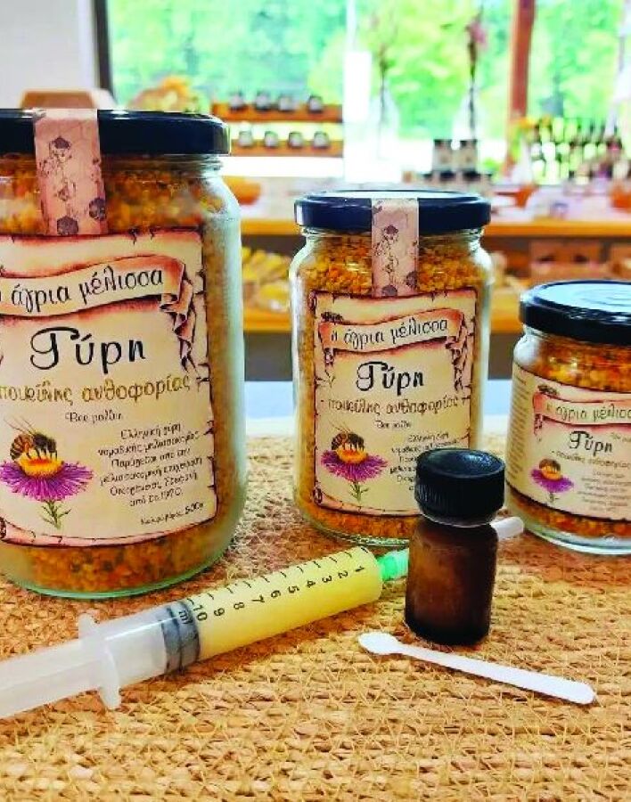 Άγρια Μέλισσα