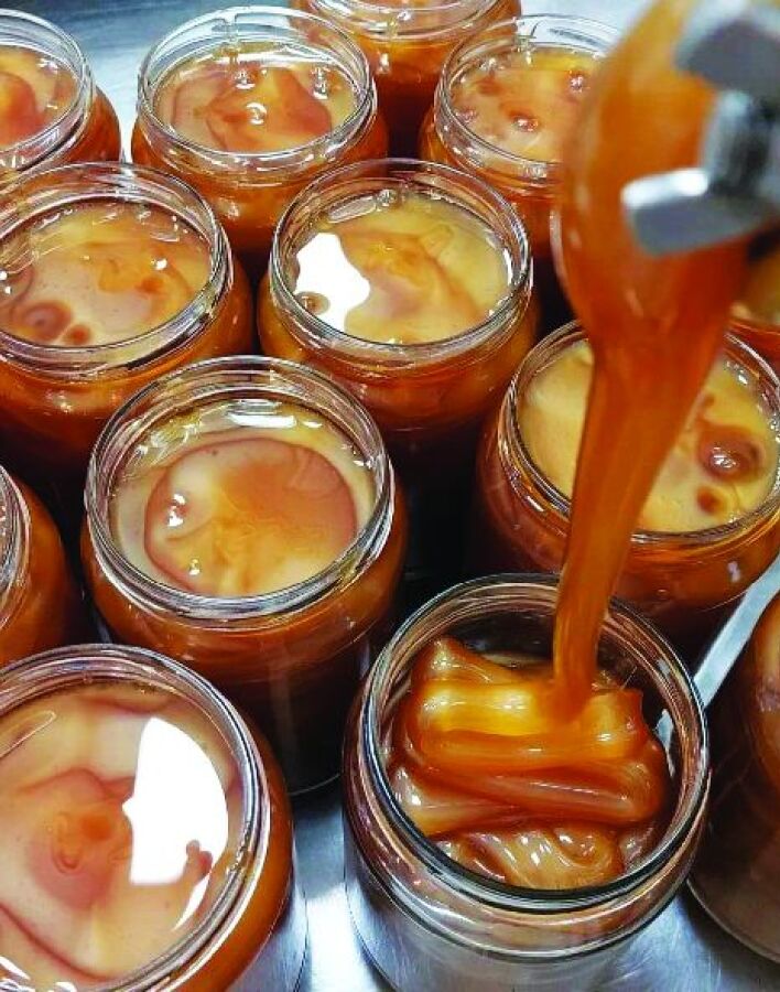 Άγρια Μέλισσα