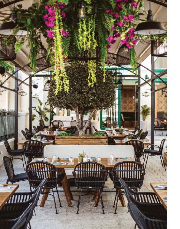  Κουτσή Κατσίκα