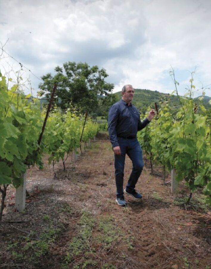 Winery Monsieur Nicolas