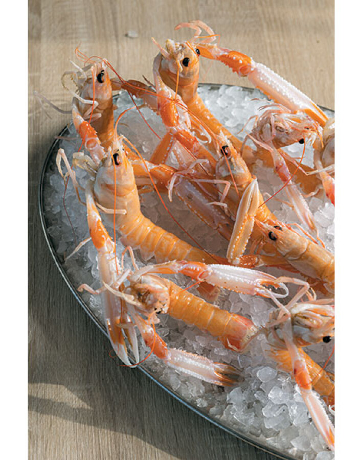 Polpo: Οι λόγοι που το αγαπάμε είναι πολλοί, νόστιμοι και λαχταριστοί