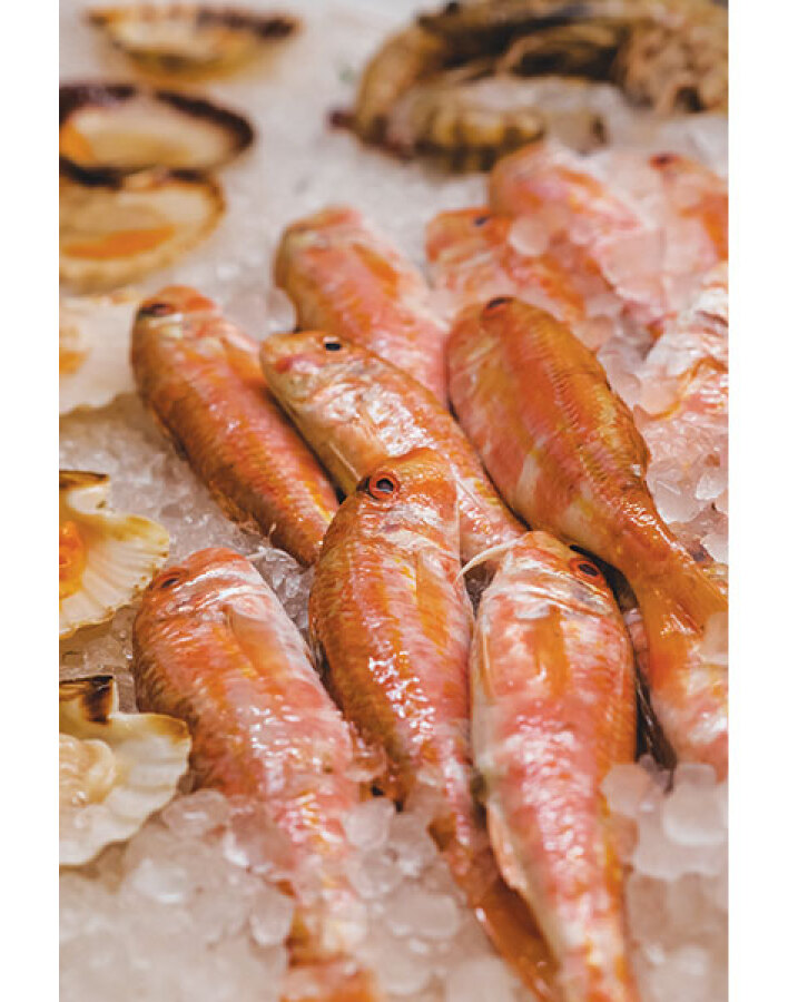 Fish Market: Πιο φρέσκο ψάρι δεν γίνεται!