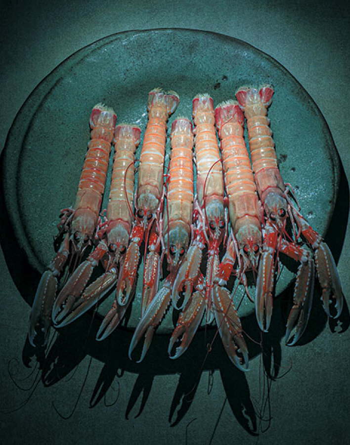 Καπετάν Γιώργης ο Μυτιληνιός: Το νέο εστιατόριο του γνωστού ψαροπωλείου στη Γλυφάδα