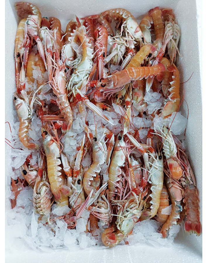 Ψ...art με Θέα: Γεύσεις με άρωμα θάλασσας στην Καστέλα