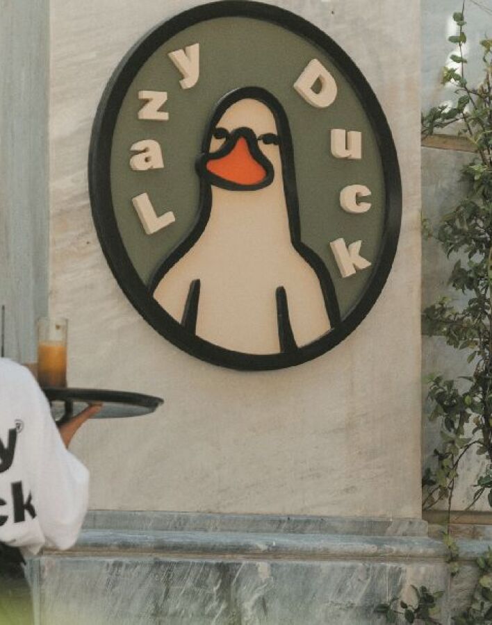 Lazy Duck