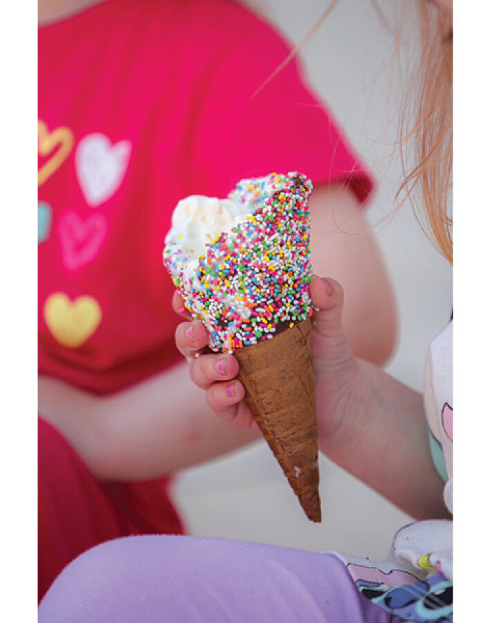 Παγωτά Μπακιρτζή