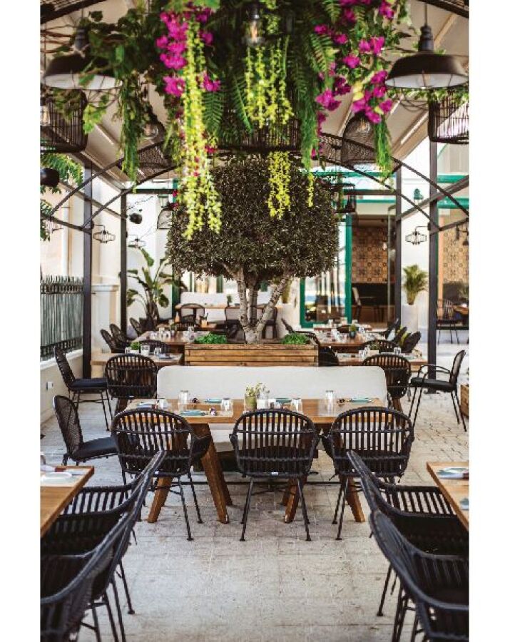 Κουτσή Κατσίκα