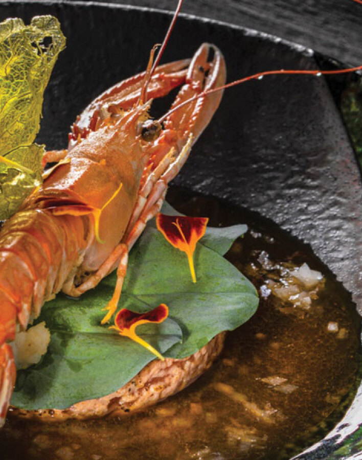 The Ethereal Garden of Botoxe