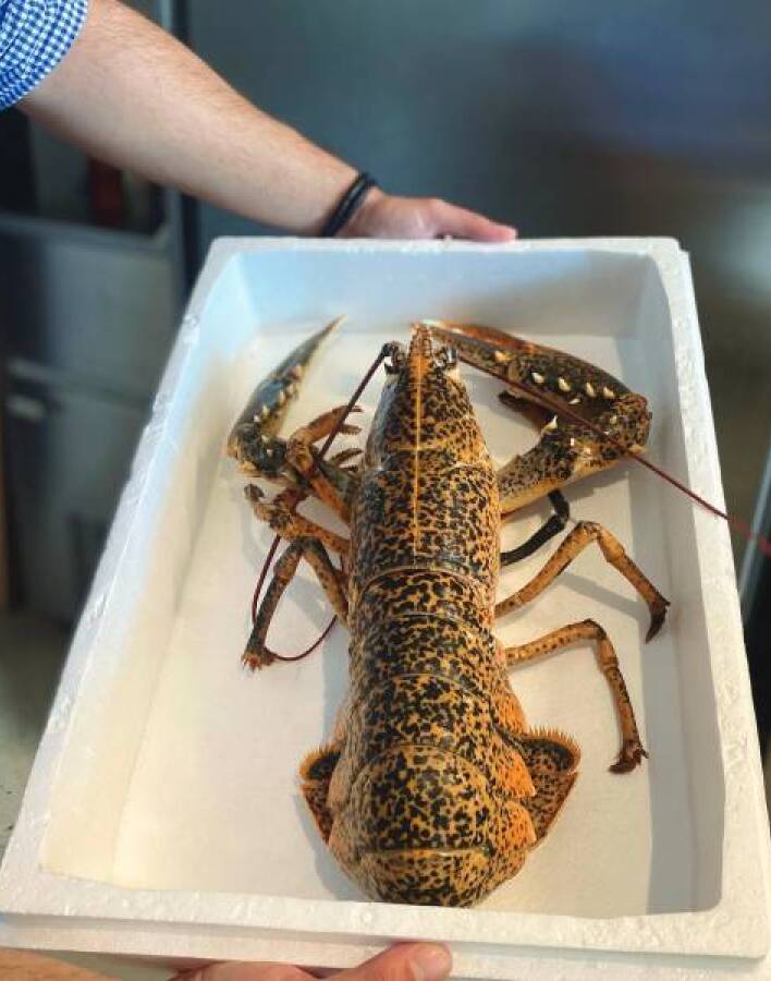 Αxinos Seafood Restaurant: Φρέσκα ψάρια και  θαλασσινά δίπλα  στο κύμα 