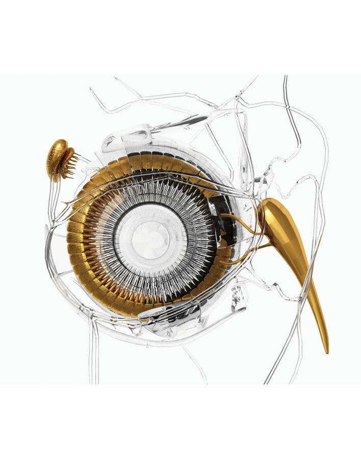 © Κώστας Πηγαδάς (Costas Picadas)