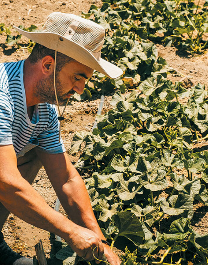 Platia Restaurant Galini Naxos
