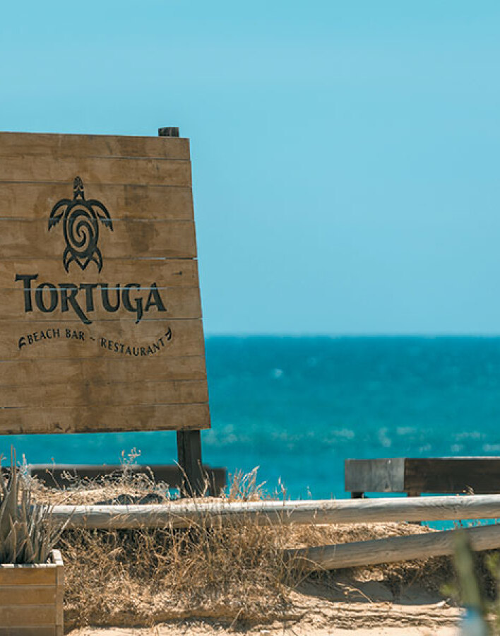 Tortuga Naxos