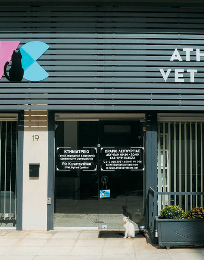 Athens vet care