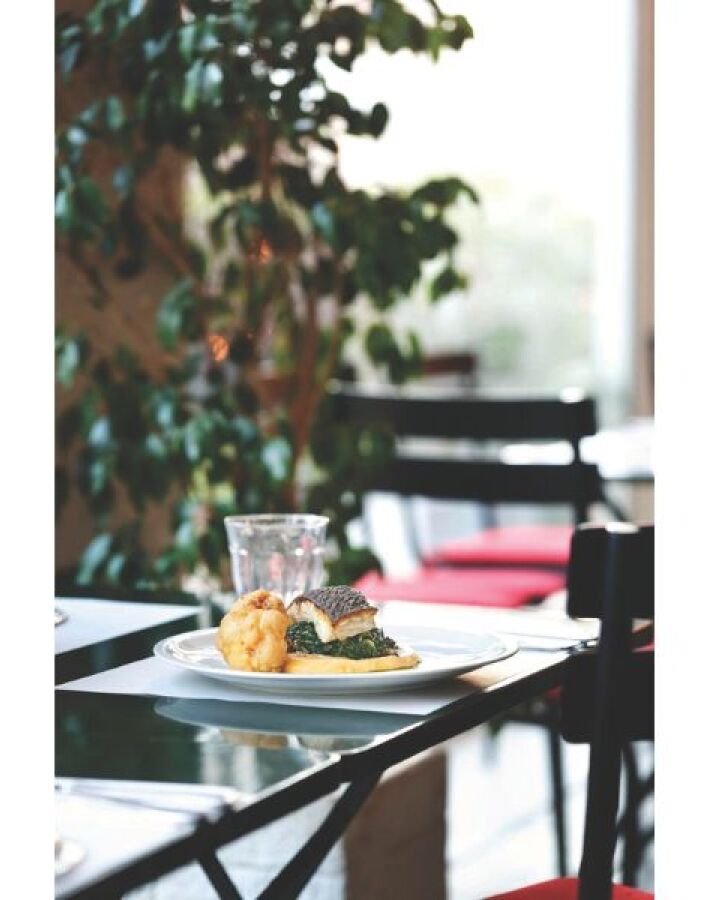 Τζουτζούκα