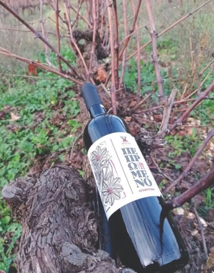 Οινοποιείο Δραϊνάς