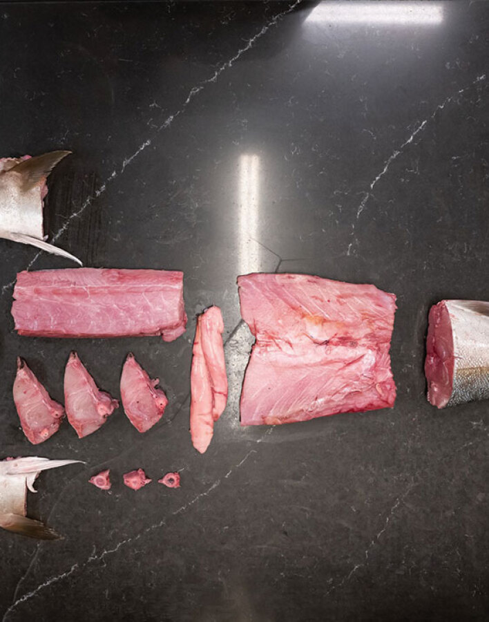 Βασίλαινας