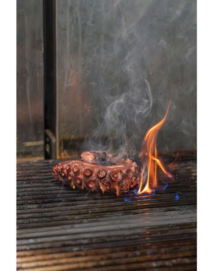 Βασίλαινας