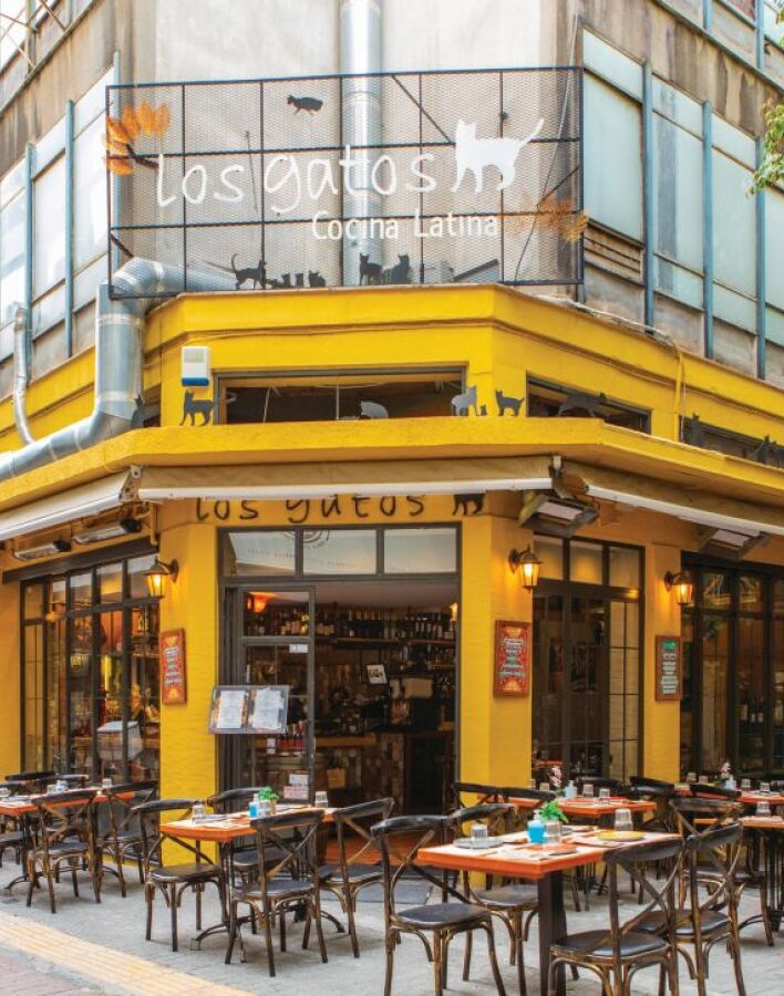 los_gatos_4.jpg