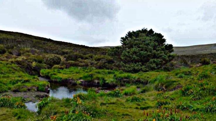 picsart_22-09-06_14-15-59-735