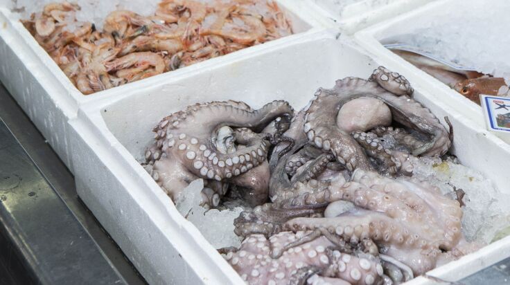 Black Cod: Ιχθυοπωλείο με φρέσκα ψάρια και πεντανόστιμη κουζίνα