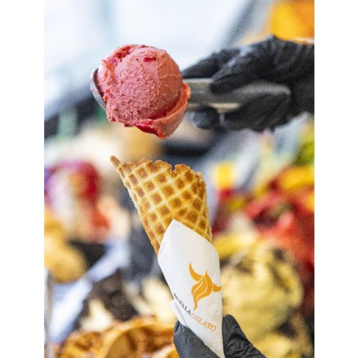 Bufala Gelato