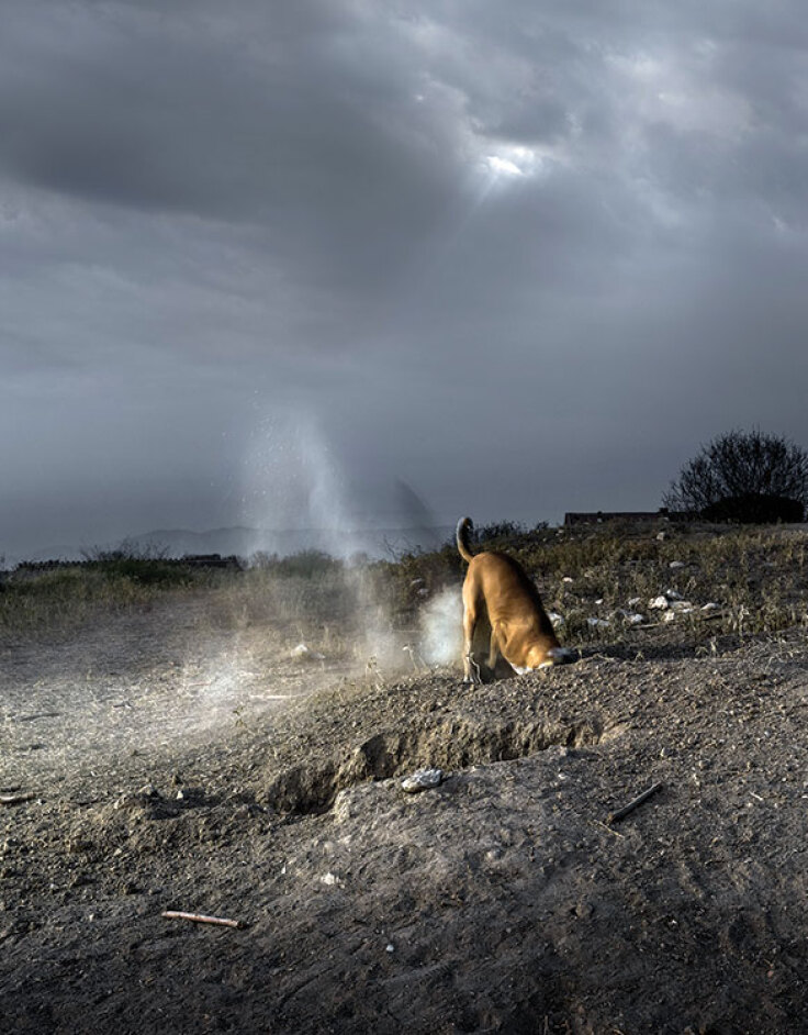 Φωτογραφία του Στράτου Καλαφάτη