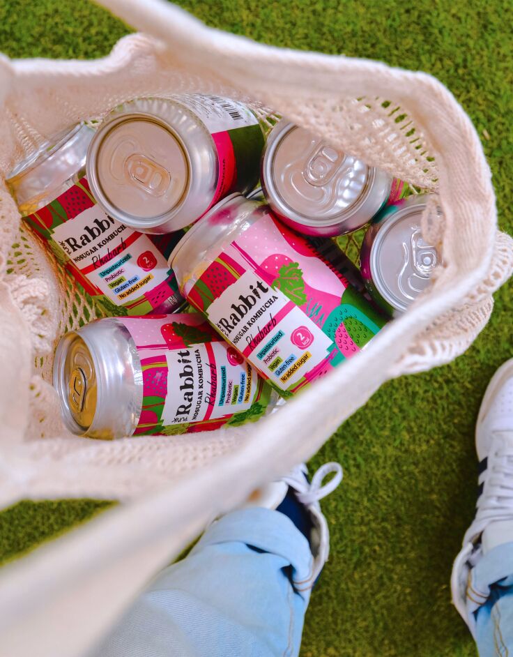 Punk Rabbit by the Superdrinks