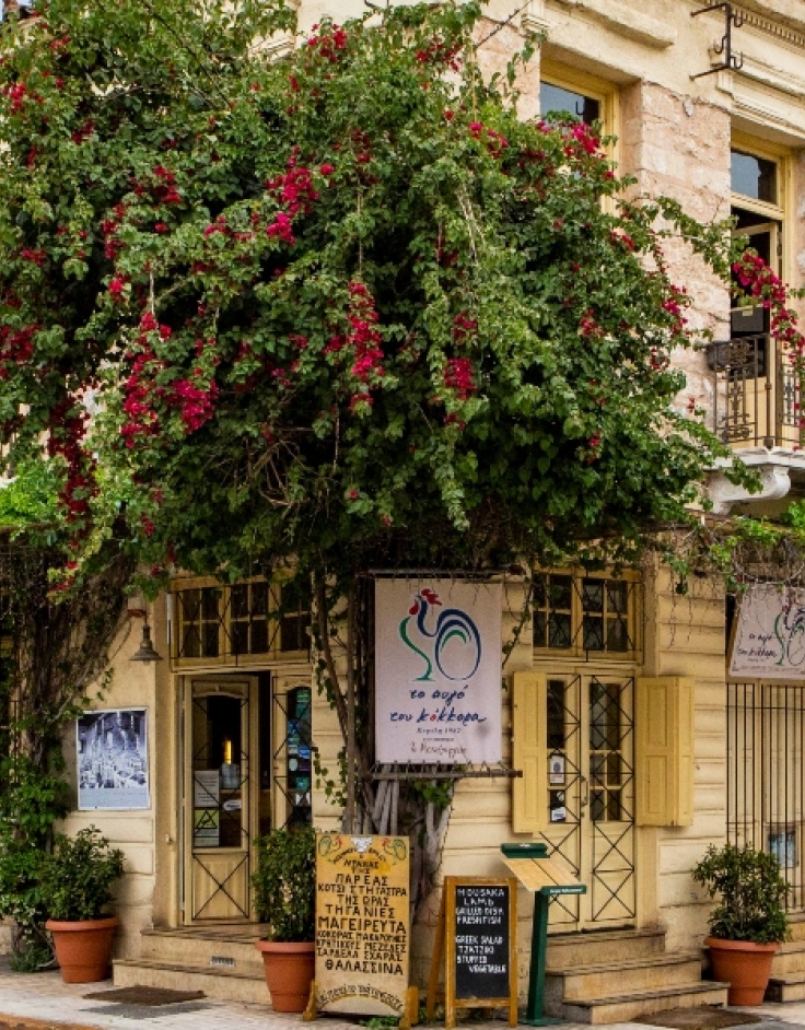 Το Αυγό Του Κόκκορα