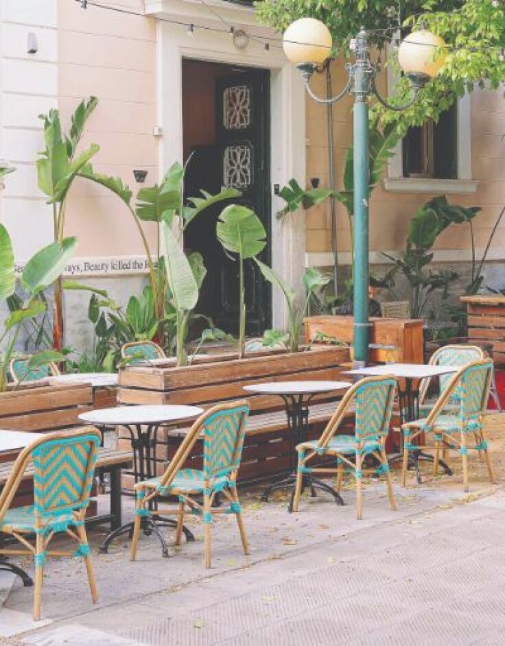 BEAUTY KILLED THE BEAST