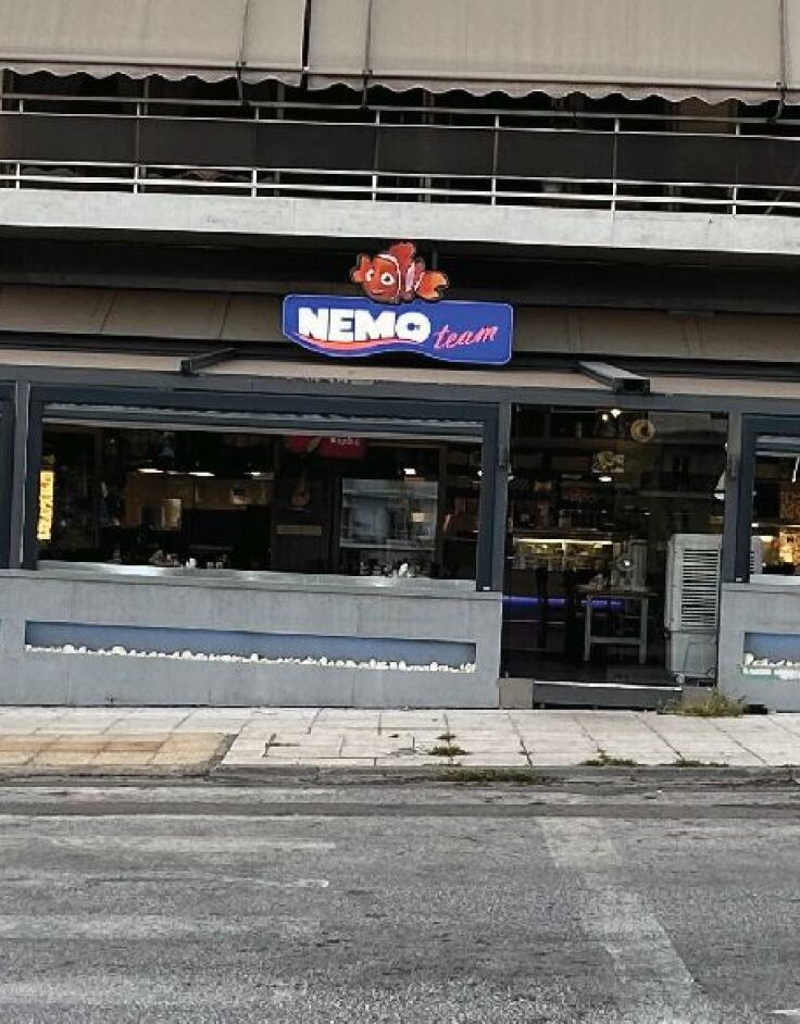 Nemo team