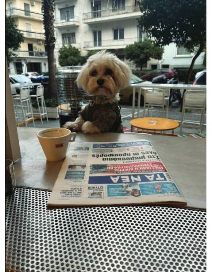 Boost:Το all day στέκι σου στου Ζωγράφου