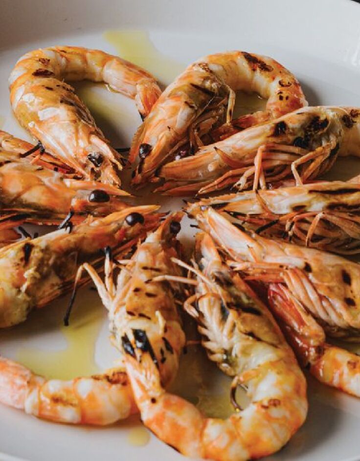 Γλυκάνισος