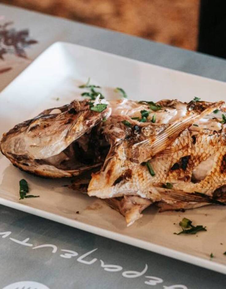 Το Θεραπευτήριο