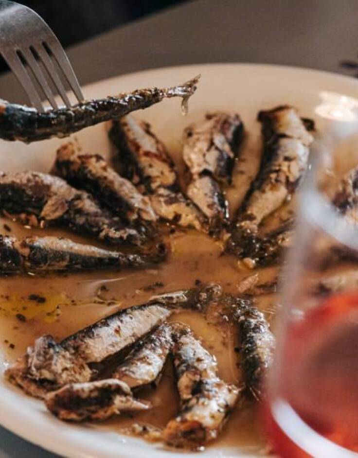 Το Θεραπευτήριο