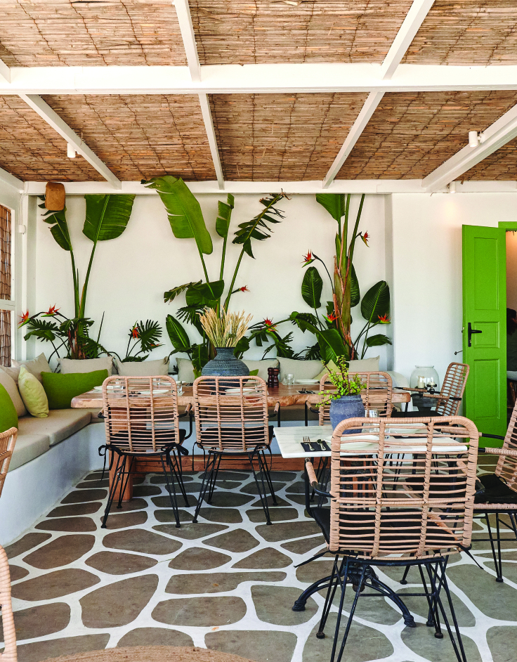 WATERMELΩN: Η wellness πρόταση της Μυκόνου