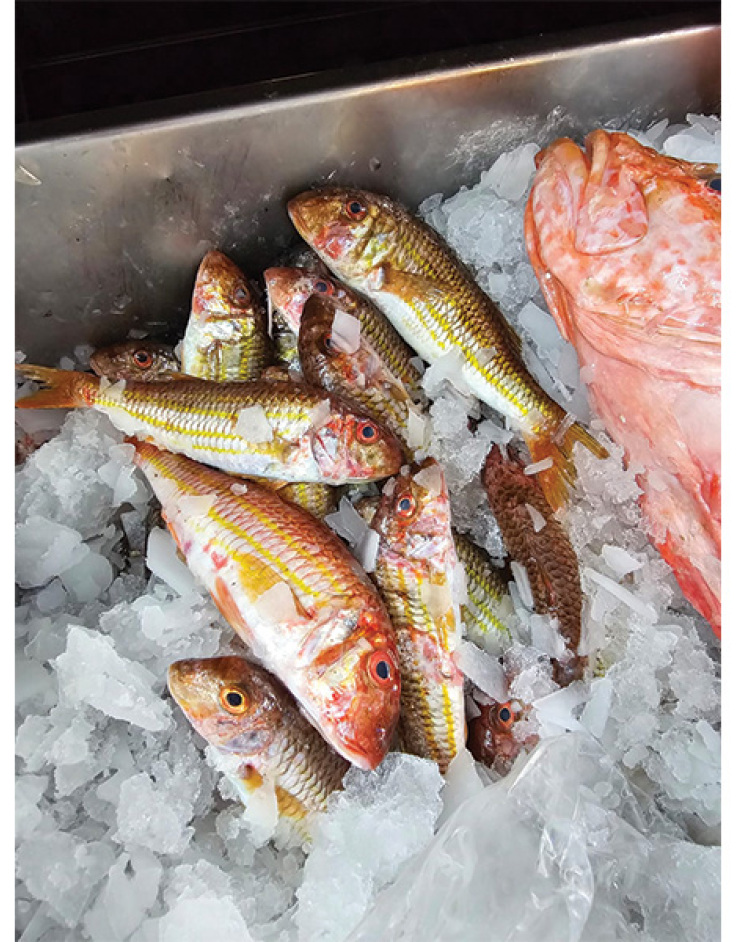 Ε/Γ Ταξιδεύοντας