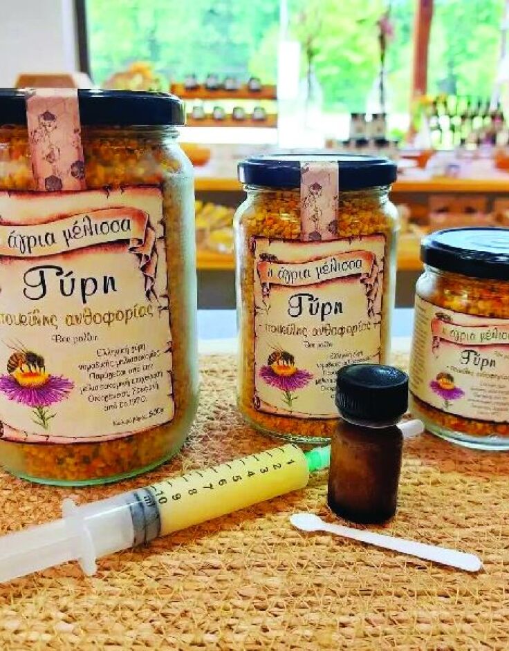 Άγρια Μέλισσα