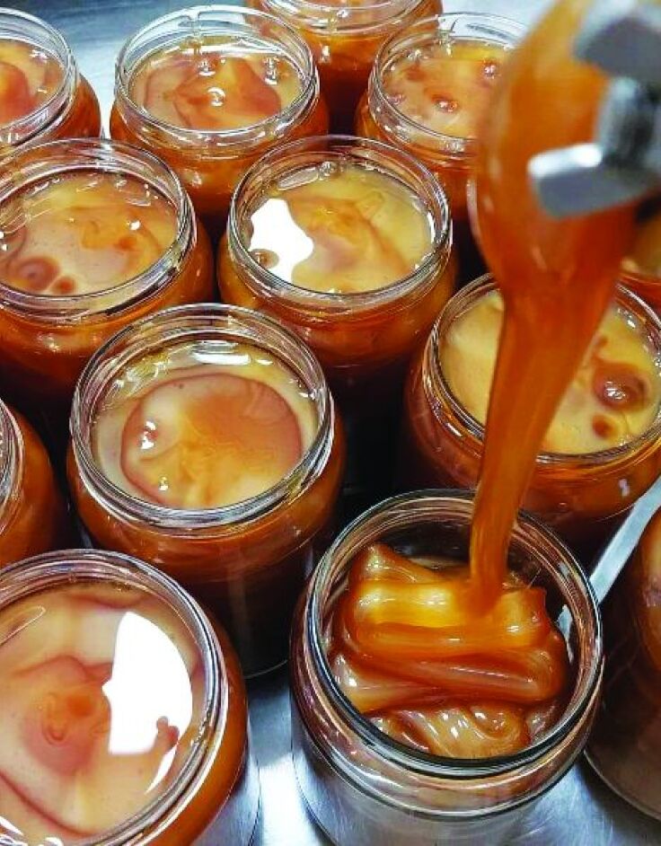 Άγρια Μέλισσα