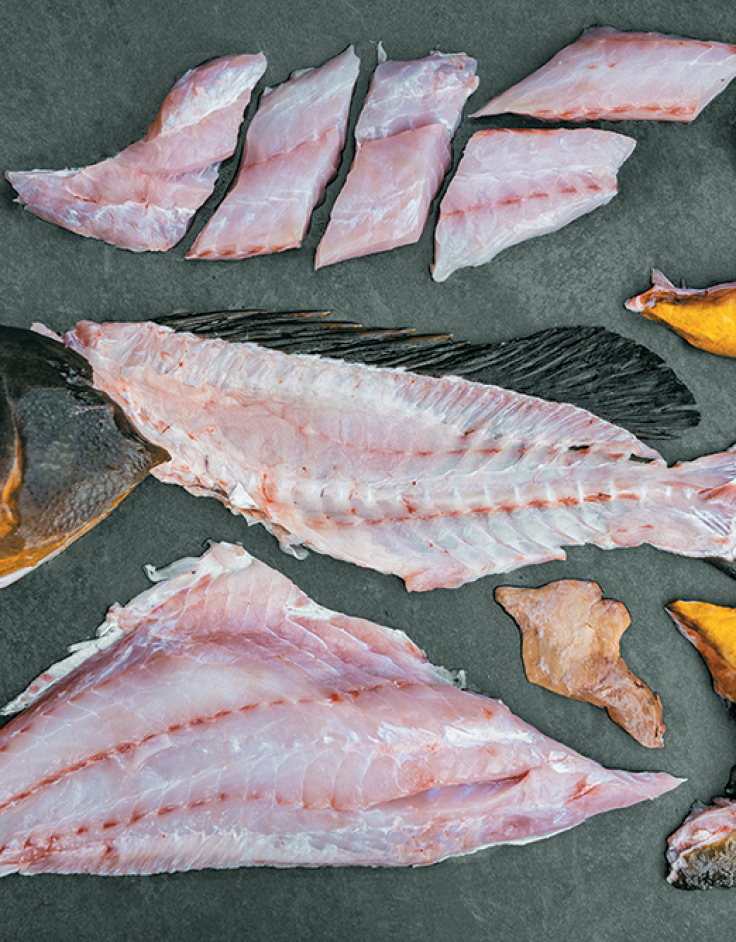 Βασίλαινας: Ιn Head-to-Tail we trust