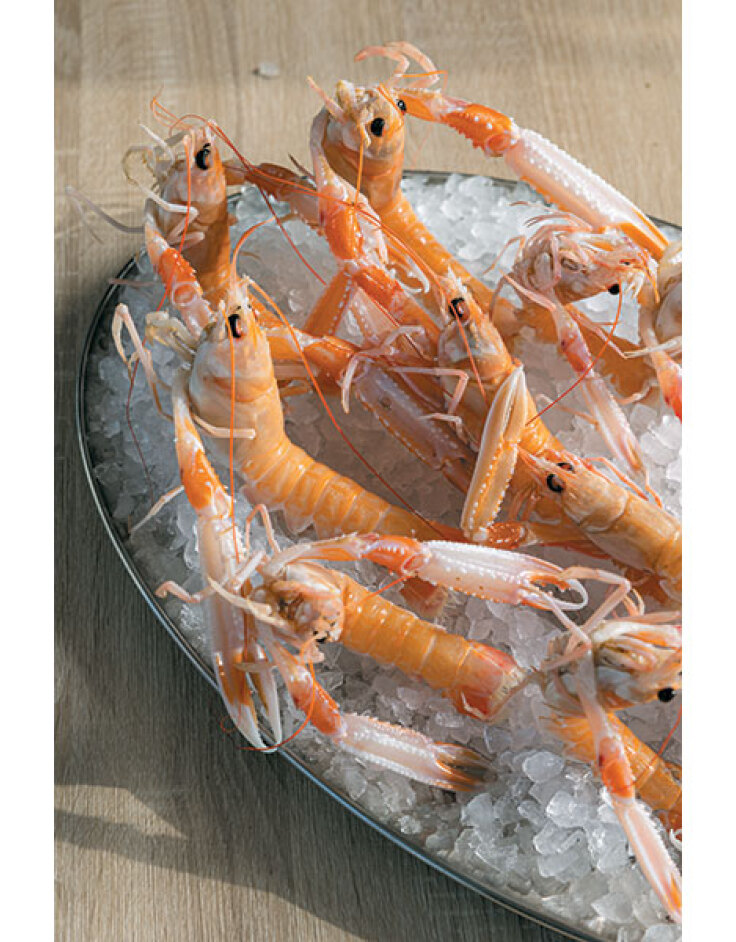 Polpo: Οι λόγοι που το αγαπάμε είναι πολλοί, νόστιμοι και λαχταριστοί