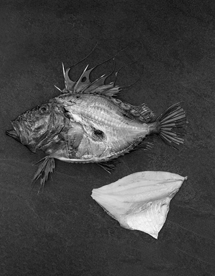 Βασίλαινας: Η γοητεία του κλασικού!