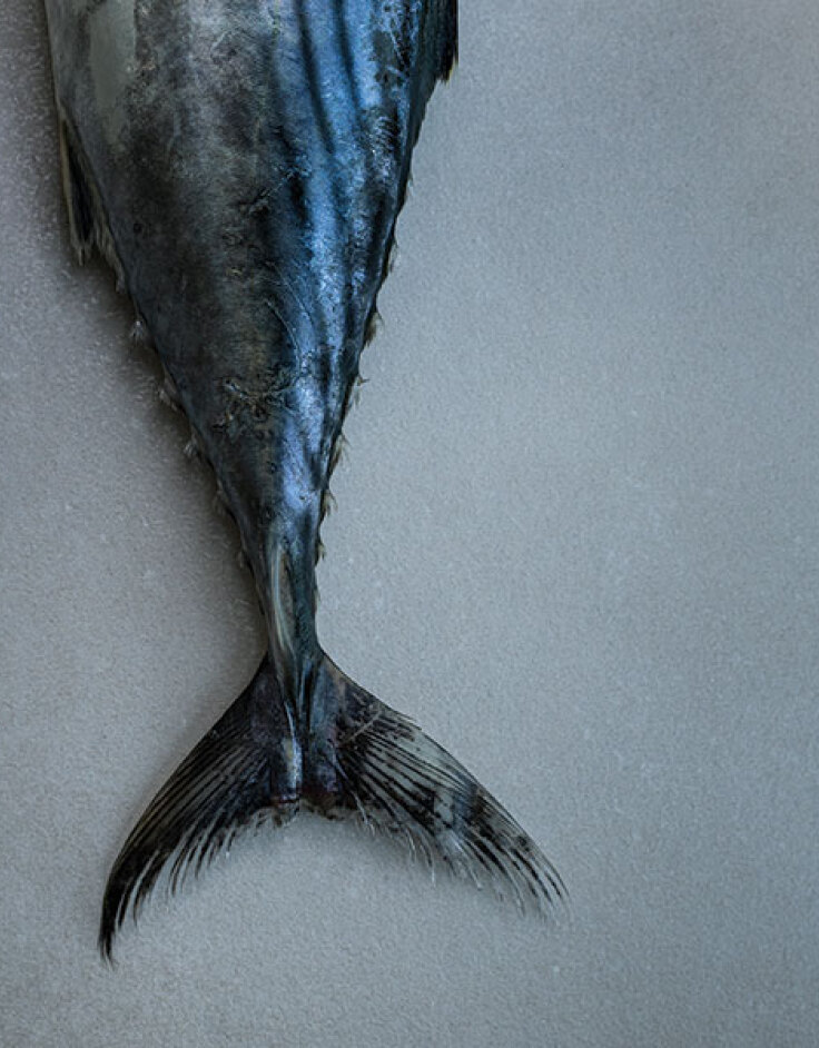 Βασίλαινας: Η γοητεία του κλασικού!